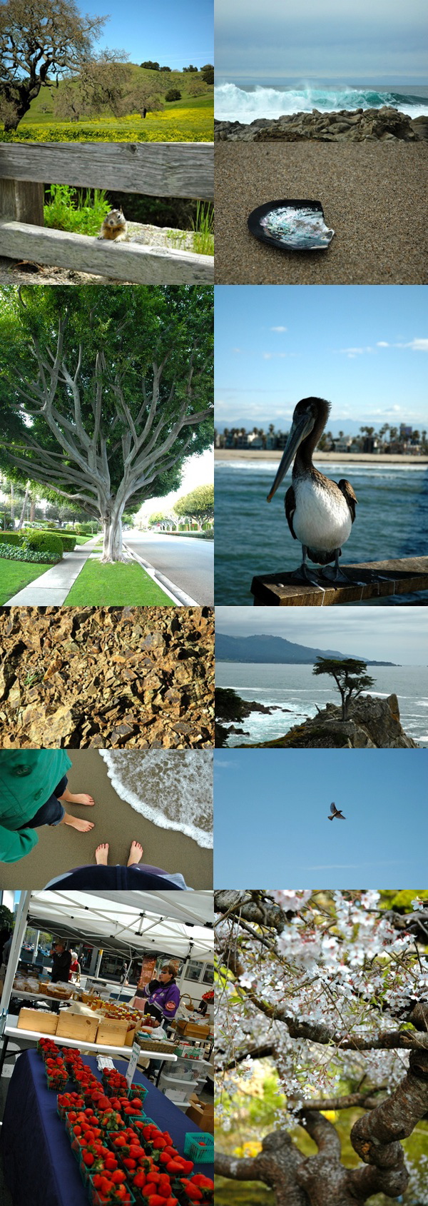 California