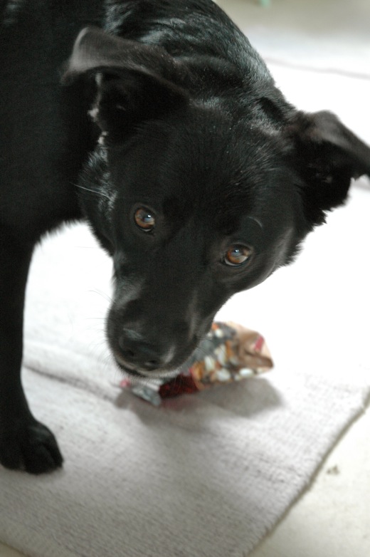 Fritzi