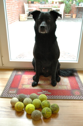 Fritzi and his tennis balls