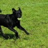 Fritzi sporty
