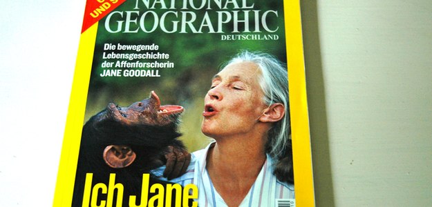 Meeting Jane Goodall