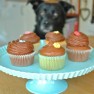 Fritzi surely wouldn't mind to try one....