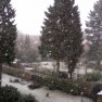 Foto 515