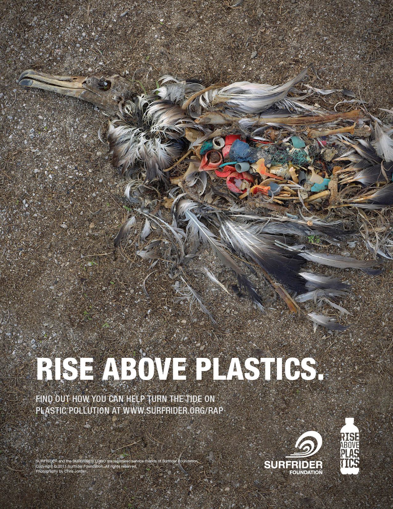 Via: Surfrider Foundation