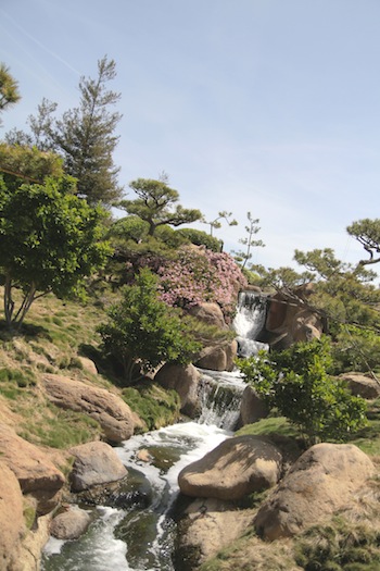 Steams like these are always my favorite in japanese gardens
