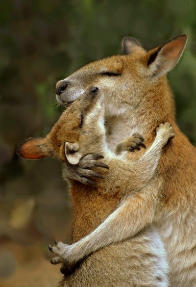 Big hug! Big hug!