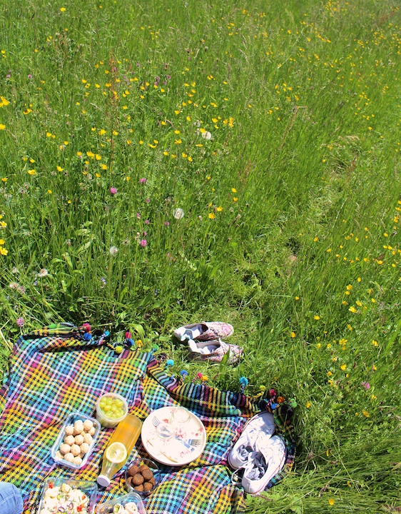 Picnic in the meadow